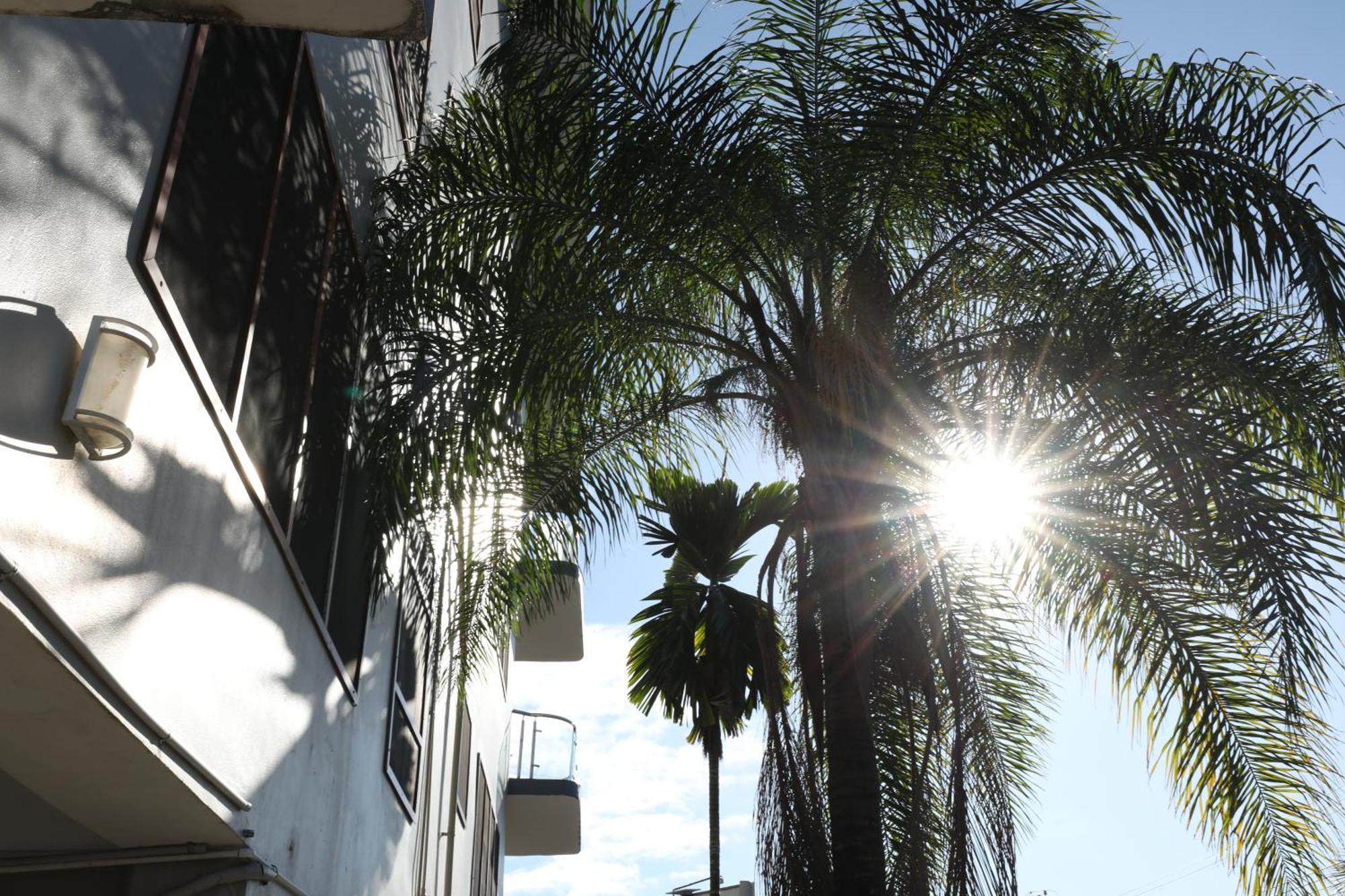 Tropical Plaza Apt Нанди Экстерьер фото